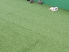 -万达广场(金堂店)