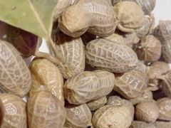 -小河公主秘制烤羊腿(小绿谷店)