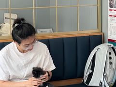 -伟伟宠物医院·瑞派猫友好医院·猫科(光谷店)
