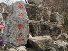 -大岭沟猕猴桃谷风景区