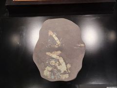 -盘龙城国家考古遗址公园