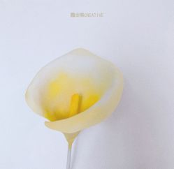 -金禧婚礼定制