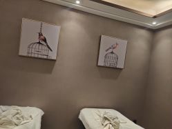 -香榭丽舍·海菲秀·皮肤管理痘敏肌修护