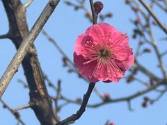 -葛仙湖公园