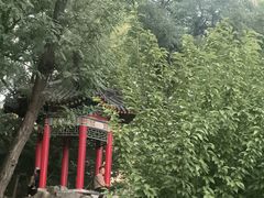-莲湖公园