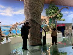 -延庆地质公园博物馆