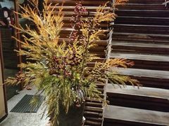 -天水蔬食料理(树德之光店)