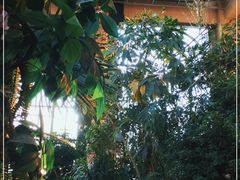 -郑州银基黄帝宫御温泉