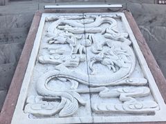 -黄贤森林公园