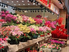 -双季花艺园艺市场(浦东店)