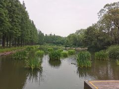 -圩墩遗址公园