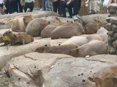 -必胜客(玉泉远洋店)