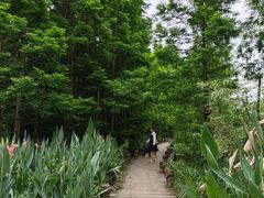 -桤木河湿地公园