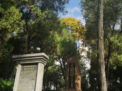 -云南师范大学(一二一西南联大校区)