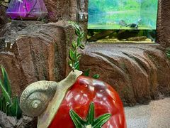 -上海大自然野生昆虫馆(东方明珠·爬宠昆虫探索中心)