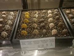 -凯菲厅海鲜姿造·海鲜自助·帝王蟹·龙虾(成都群光君悦酒店)