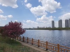 -长白岛森林公园