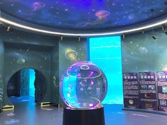 -南昌融创海世界