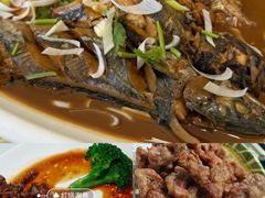 -三合园水饺(二马路店)