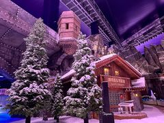 -世界之窗阿尔卑斯冰雪世界