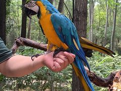 -北京野生动物园