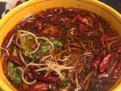 -熊猫川菜馆 panda chine