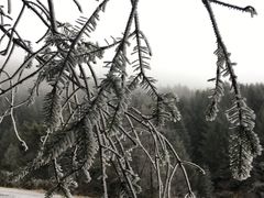 -硗碛藏寨·神木垒景区