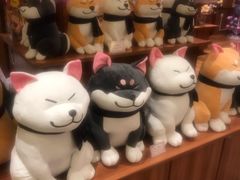 -大江户·温泉洗浴(浑南店)