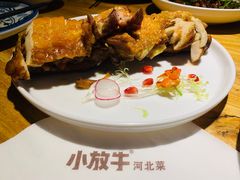 -小放牛炒菜馆(中山路乐汇城店)