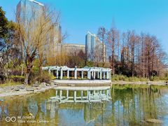 -新虹桥中心花园