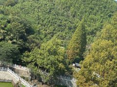 -天乐农家鱼头王(天目湖店)