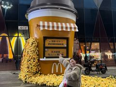 -麦当劳(哈西万达店)