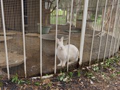 -福建鲤鱼洲酒店