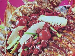 -老板恋上鱼(印象城店)