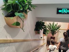 大堂-嘉和一品粥(方庄店)