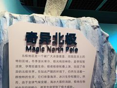 -陕西自然博物馆