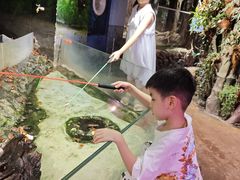 -正佳雨林生态植物园