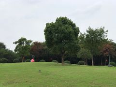 -南京市江宁方山