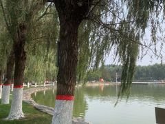 -五环公园