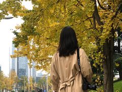 -百林公园-两江幸福广场