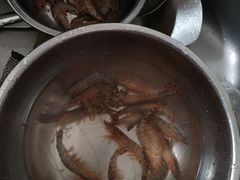 -呷哺呷哺 黄金牧场 (欢乐谷店)