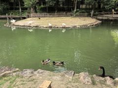-乌村