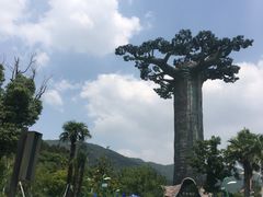 -苏州乐园森林水世界