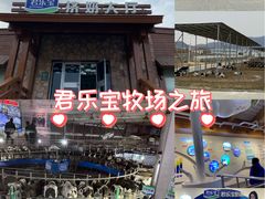 -君乐宝优致牧场