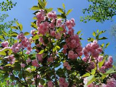 -长白岛森林公园