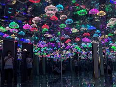 -苏州5D星空错觉艺术馆