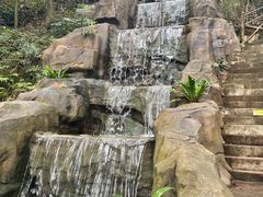 -广州市流溪河国家森林公园