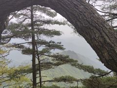 -内乡宝天曼生态旅游区