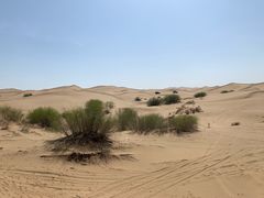 -亿利库布其七星湖沙漠生态旅游区