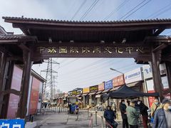 -中环花鸟鱼虫市场